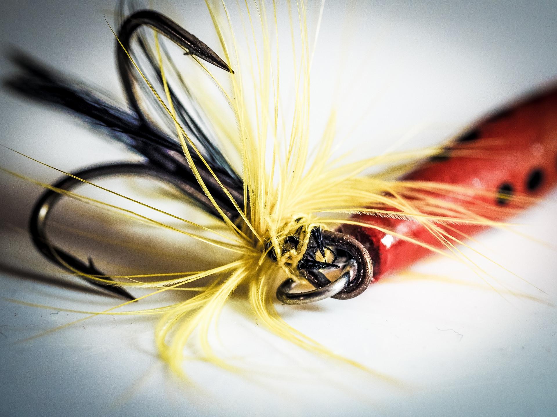 懒人自动钓鱼神器爆炸钩,鲫鱼专用爆炸钩