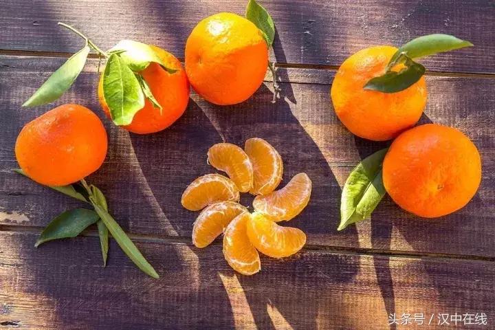 一起去城固吃桔子,还有大型活动,快来看看!