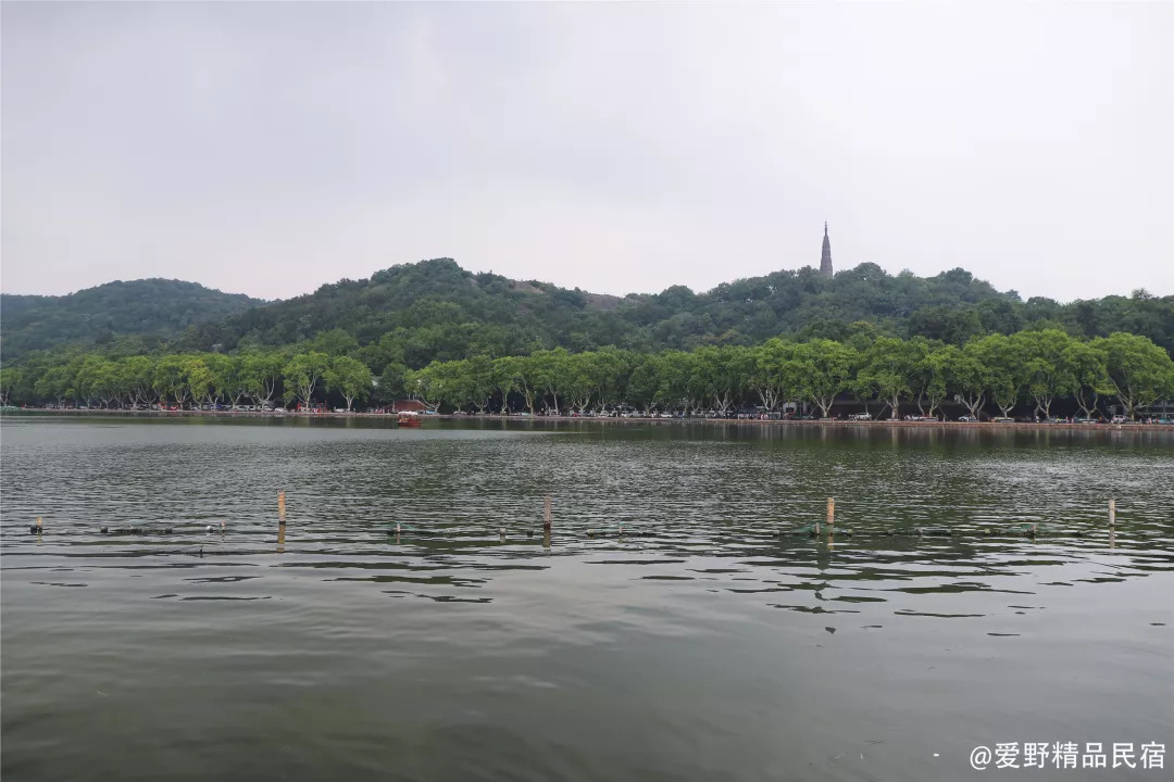 杭州3天2夜｜西子湖畔，脚步丈量这座底蕴深厚的城-爱野精品民宿