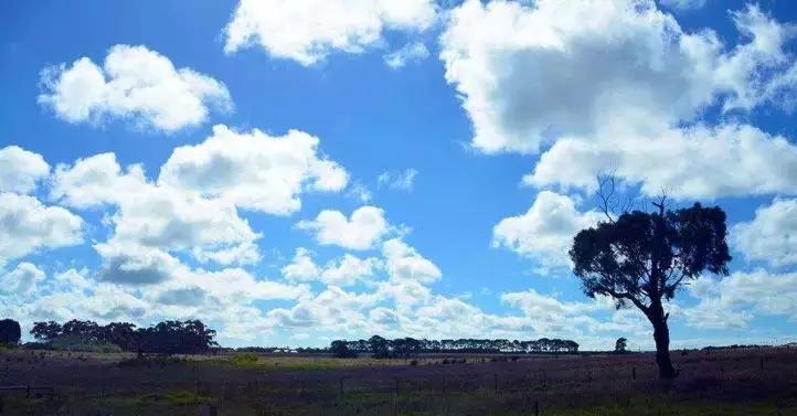 澳洲swisse保健品真的好吗,澳洲swisse保健品靠谱吗