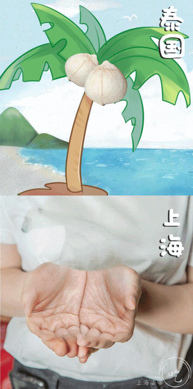 泰国椰壳冰淇淋,泰国街头椰奶冰淇淋