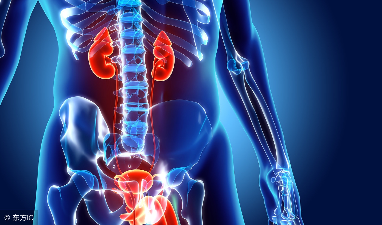 男人有前列腺炎对女人有害吗,男人有前列腺炎会影响怀孕吗