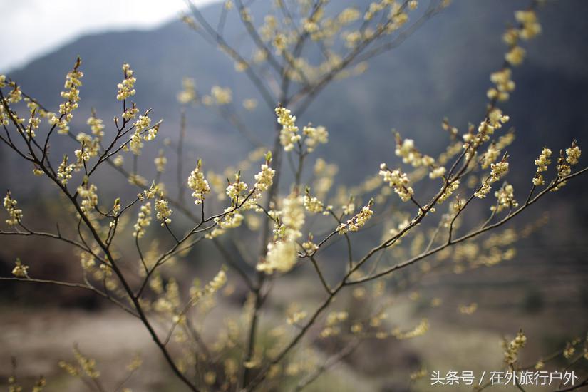将轻量化进行到底——20L背包的千八雪地露营