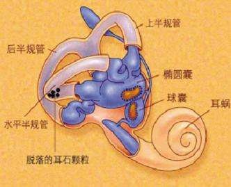 神奇的感觉都有哪些,神奇的感觉是什么