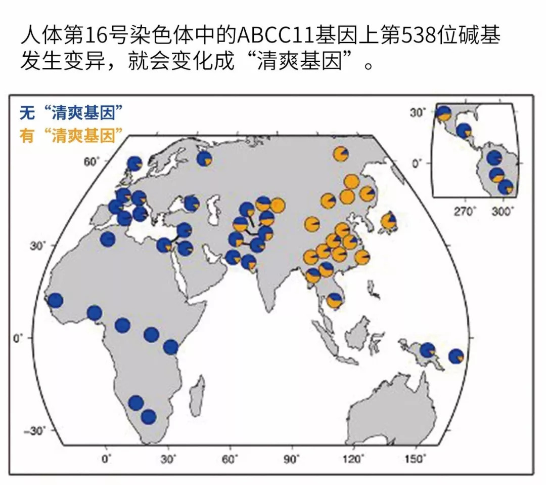 你身上散发的是体香还是狐臭,如何区分体香和狐臭