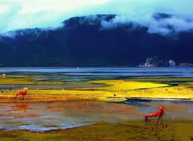 国内最美的十大海滨城市,国内最撩人的20个金秋童话