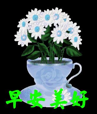 朋友祝你年年十八你怎么回,朋友愿你天天开心吉祥如意