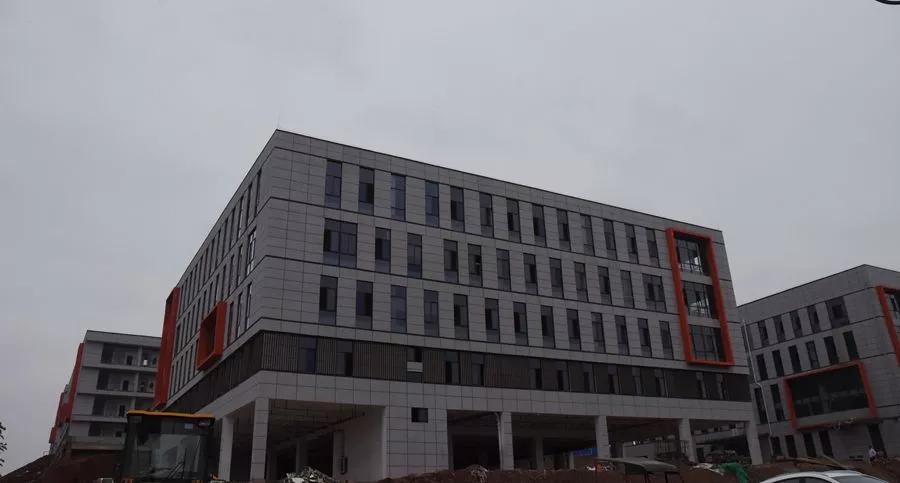 龙江小学新生什么时候报名,龙江发布小学招生结果