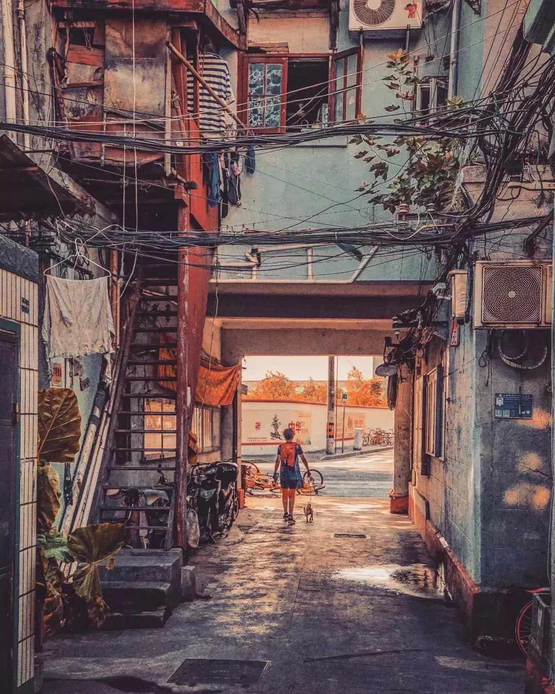 上海最新航拍震撼视频,外媒上海夜景被震撼视频