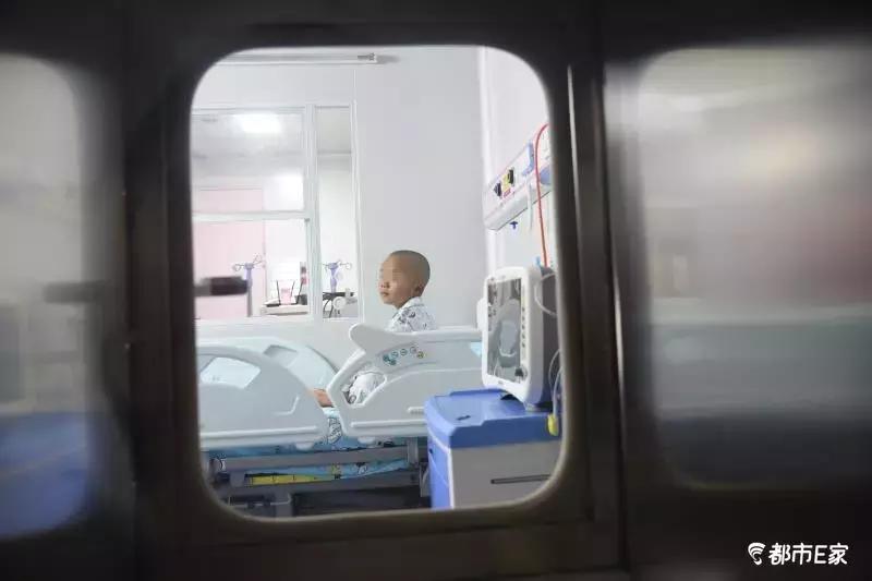 儿童医院移植中心,儿童干细胞移植进仓