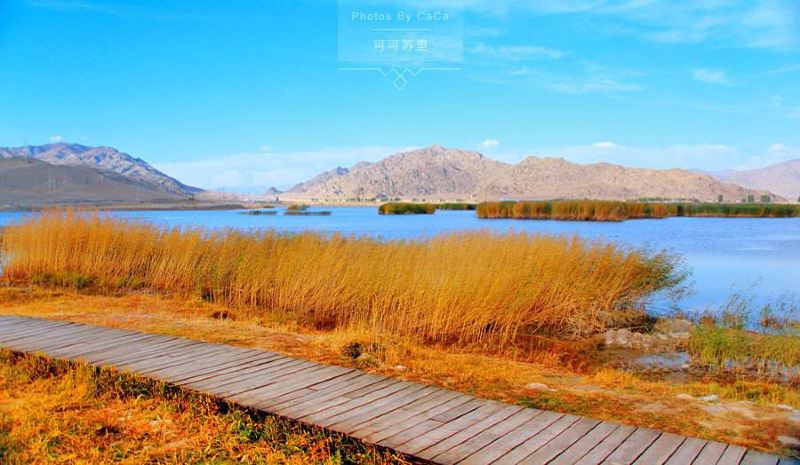 北疆环线10日游最新,北疆环线10日游旅游团