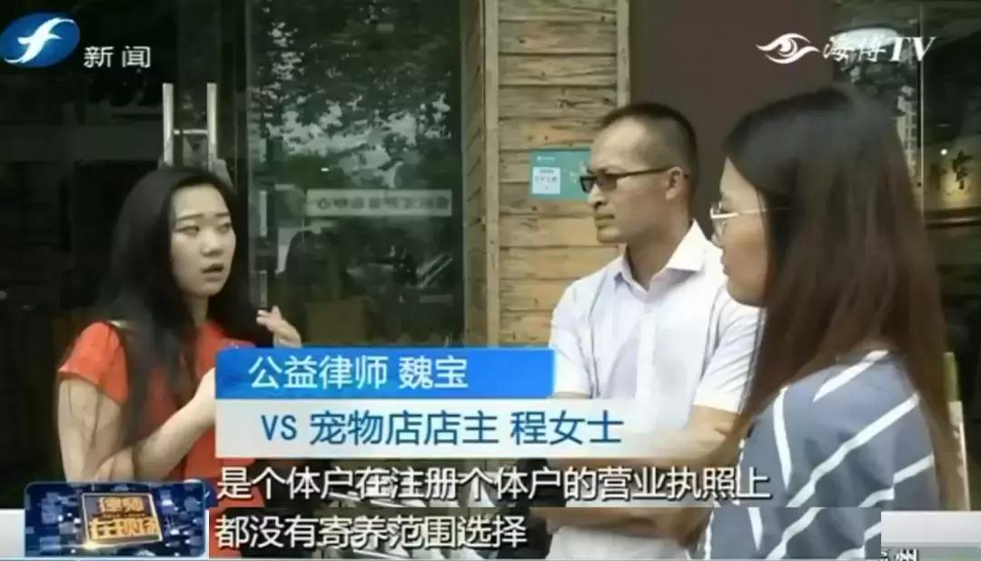 宠物店签订协议寄养死了怎么赔偿,为什么幼犬会在一夜之间莫名死亡