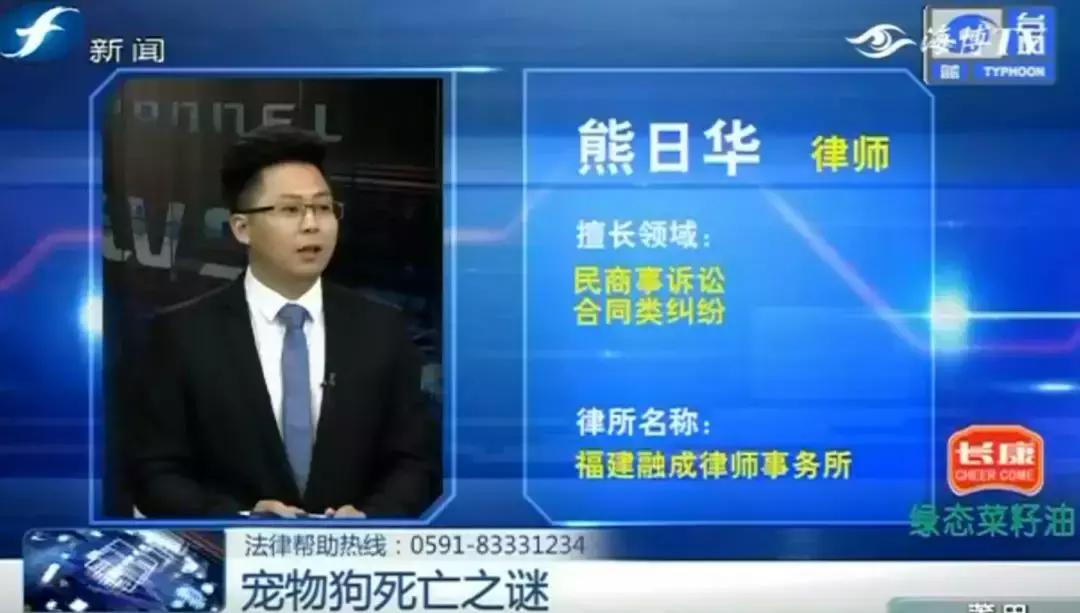 宠物店签订协议寄养死了怎么赔偿,为什么幼犬会在一夜之间莫名死亡