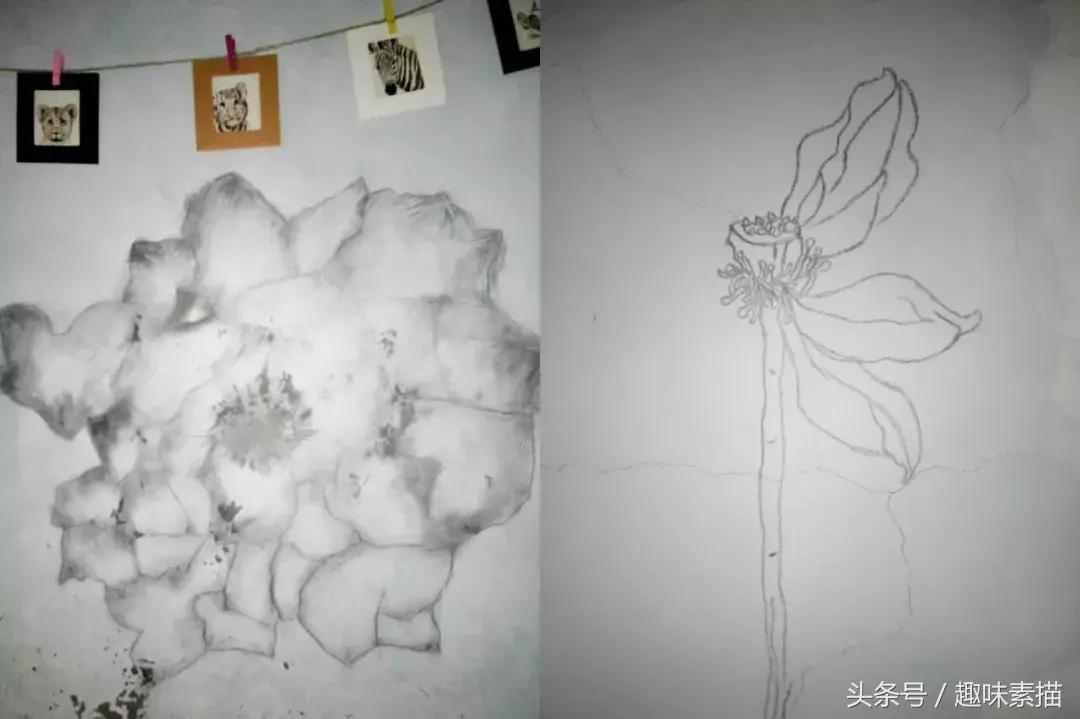 “老师你看我画得怎么样？”“你是魔鬼吗？滚！”