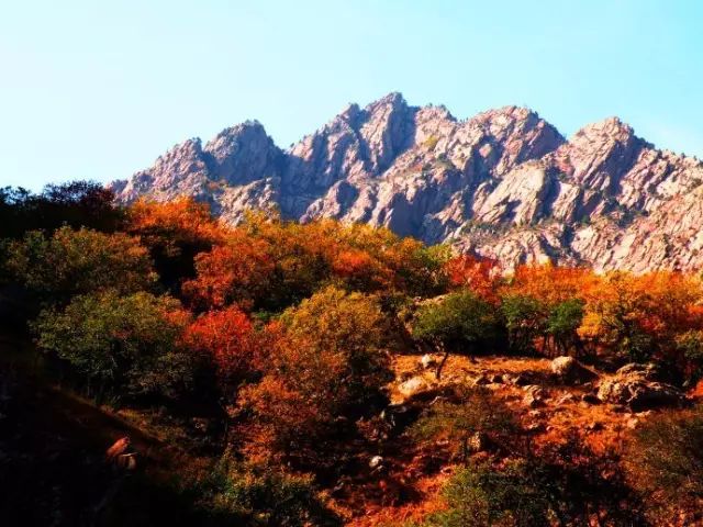 呼和浩特哪个沟秋景好,呼和浩特红石崖秋景