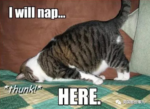 ta身上最吸引你的地方,天蝎男让人着迷的闪光点