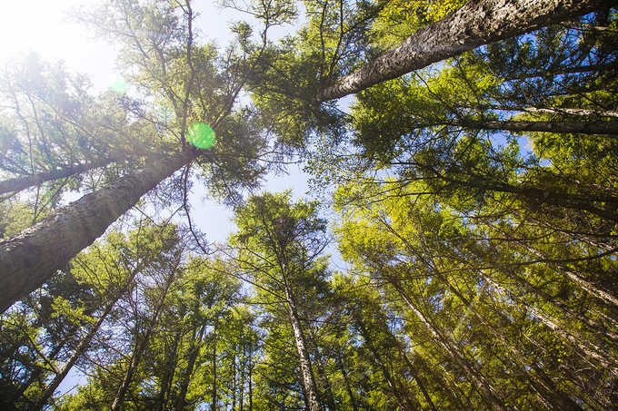 寻梦六盘山，美若九寨，毛主席在这里写下：不到长城非好汉