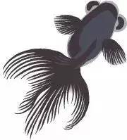 中华经典唐诗三百首视频,古诗是我们中国最灿烂的明珠