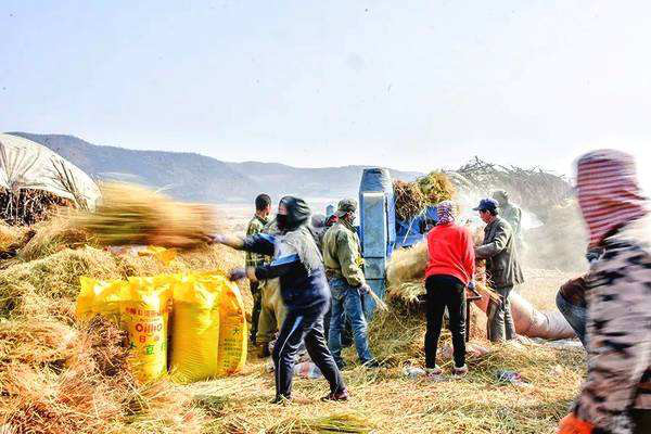 中国农民丰收节江苏省主会场,2019中国农民丰收节系列
