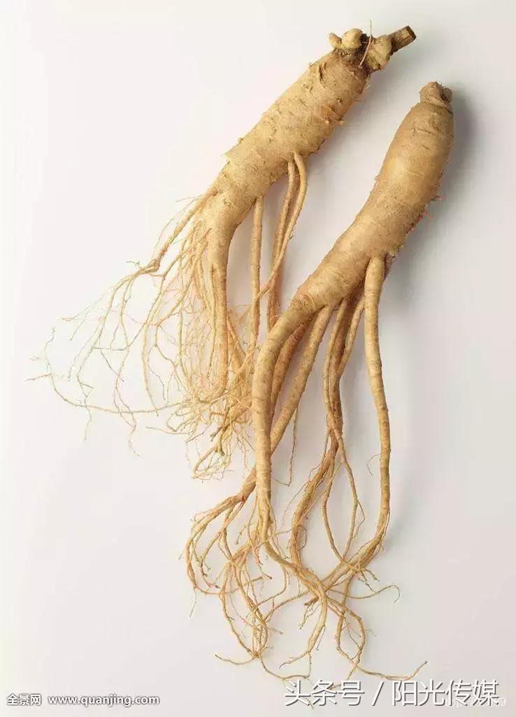 养生千万别养出一身病,为什么有的人越注重养生病越多