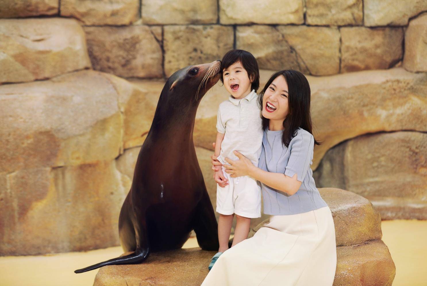 三亚亚特兰蒂斯公寓旅行攻略,三亚旅游住宿亚特兰蒂斯