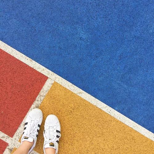 广深港高铁正式售票！这44个站点将直达香港，手慢无！