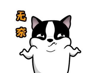 雅诗兰黛小棕瓶与兰蔻小黑瓶比较,雅诗兰黛小棕瓶与兰蔻小黑瓶