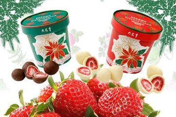 去日本旅游带什么美食,去日本旅游回来带什么东西