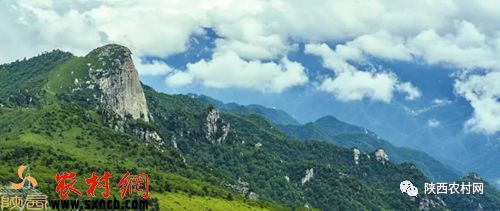 哪里有保护秦岭的公益活动,关爱秦岭志愿者在行动