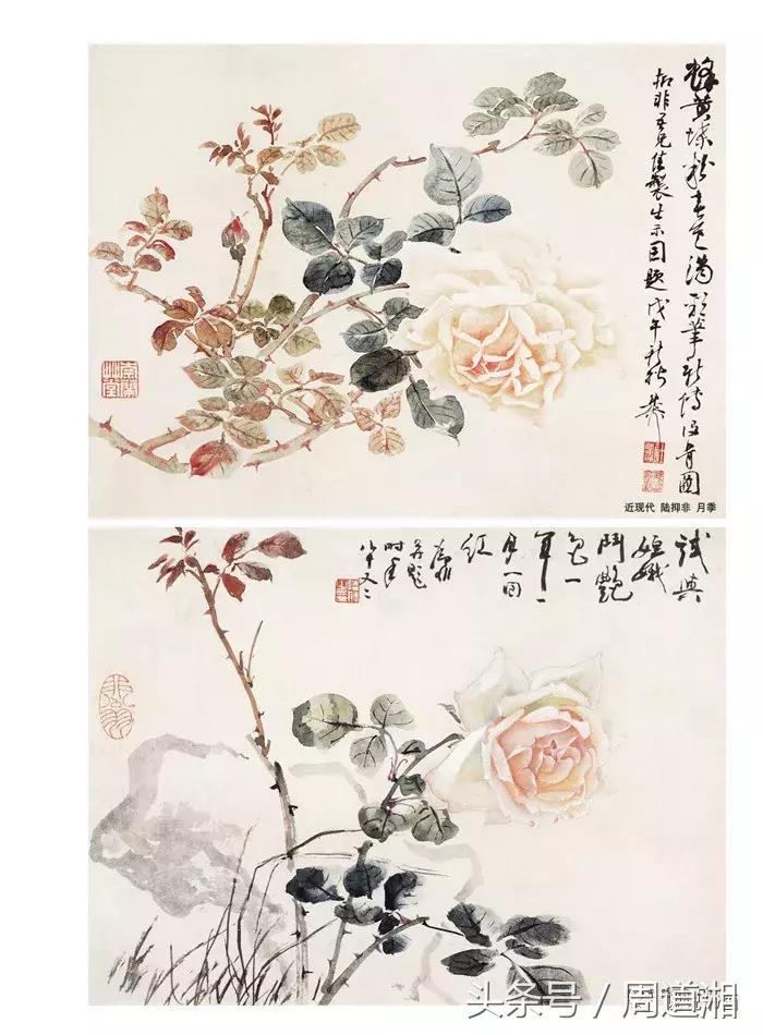 中国写意花鸟月季花篇,中国写意花鸟技法