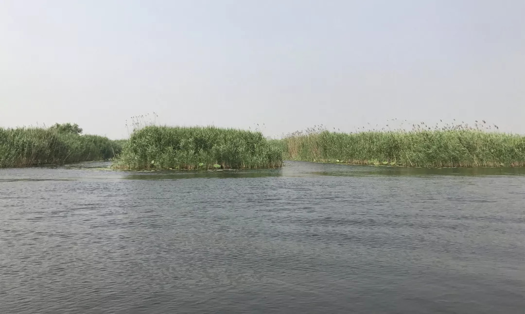 下站该往哪里去,下站了该去哪