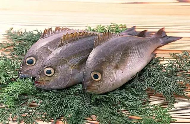 汕头人一般在哪吃海鲜,汕头人喜欢吃的海鲜