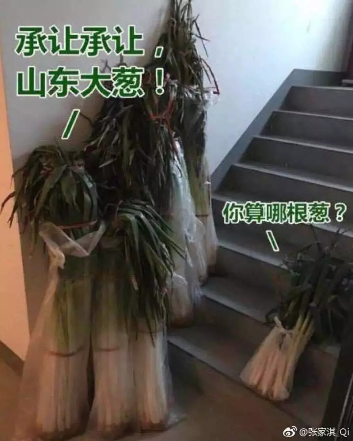 青岛的啤酒和蛤蜊,野生干蛤蜊青岛特产