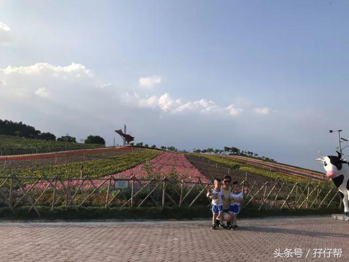 东部华侨城茶溪谷一日游,广东游记之深圳东部华侨城茶溪谷