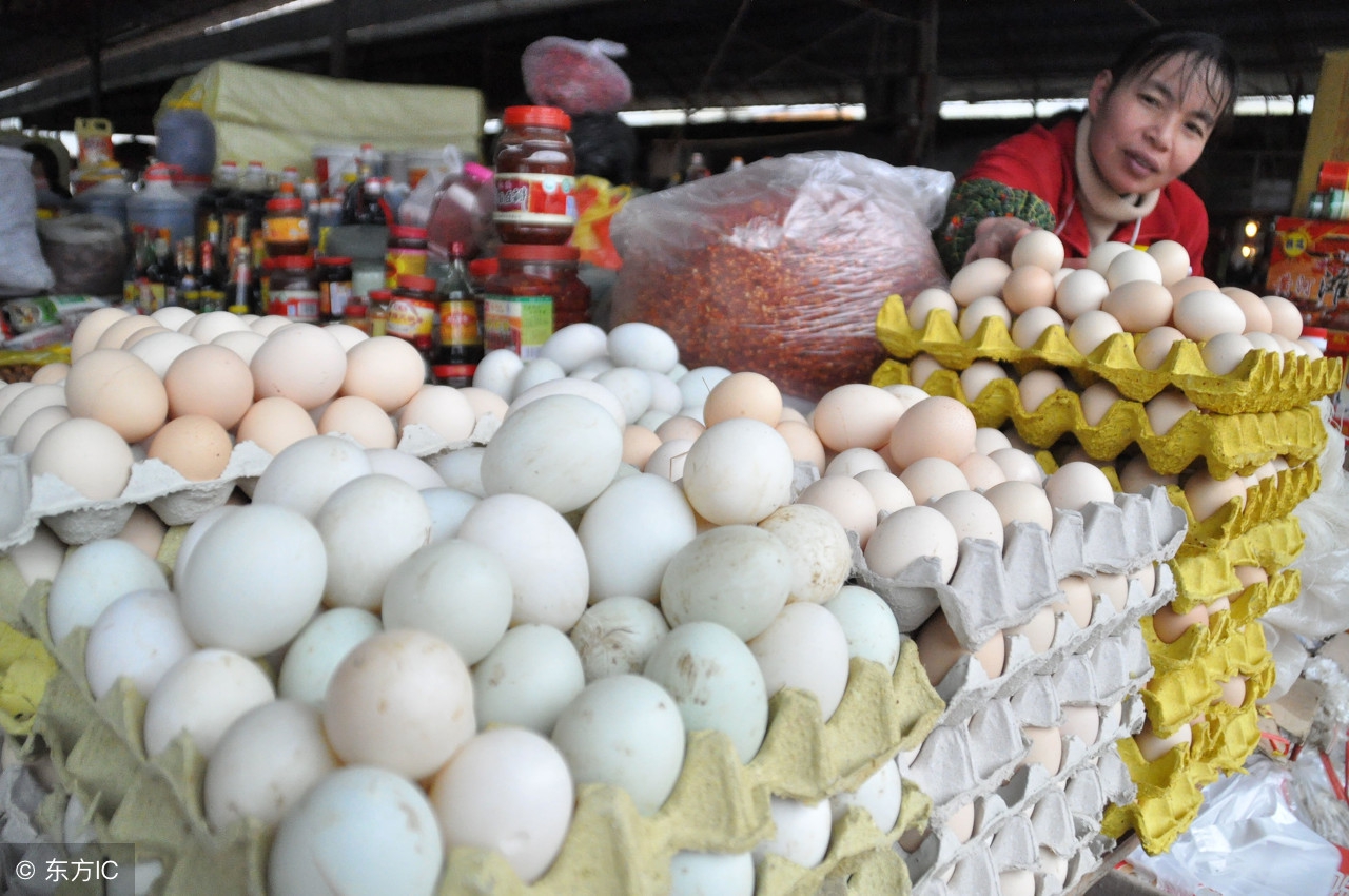 河北省鸡蛋今日蛋价行情,青岛鸡蛋价格今日蛋价
