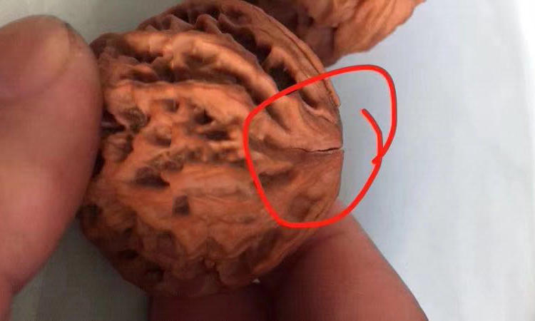 赢得了赌局却输了自来也,赢得了胜利却输给了别人