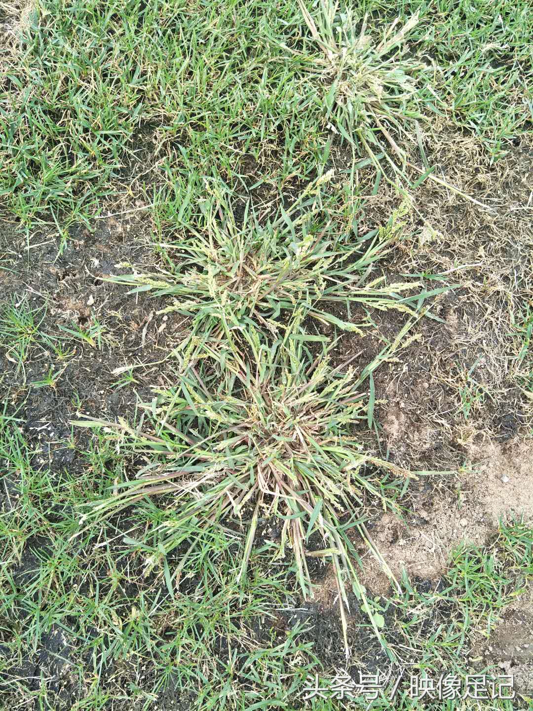 涓浗瓒冲崗濂宠冻鎯ㄨ触鑽峰叞,涓浗濂宠冻璁╀汉蹇冪柤