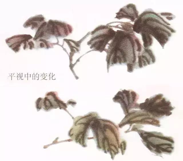 国画牡丹叶子怎样布局,国画牡丹叶子的布局