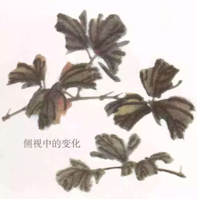 国画牡丹叶子怎样布局,国画牡丹叶子的布局