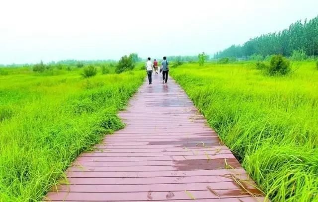 河南露营自驾游推荐,春节河南自驾露营最佳地方