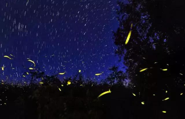 马来西亚沙巴度假海岛,马来西亚的沙巴