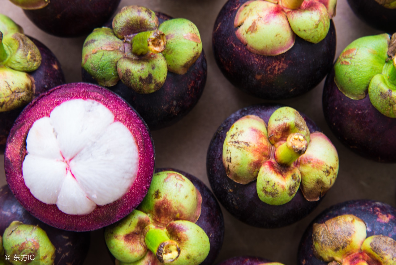 山竹有没有降火的功效,山竹怎么降火最快