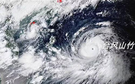 “山竹”来临东莞，倒拔树木，工厂停产……