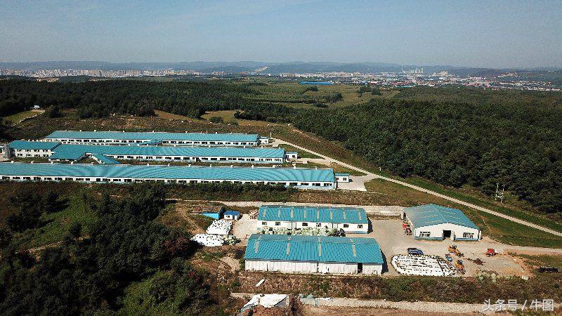 戚振林｜乳业教父郑俊怀和他的红星集团