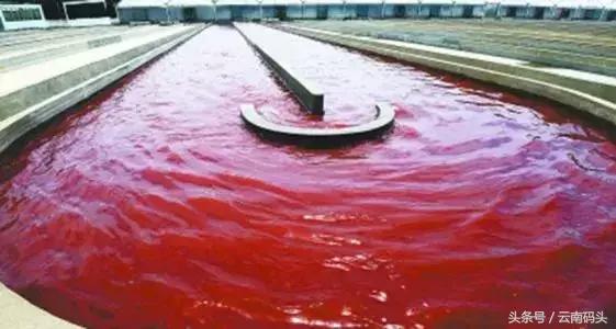 全世界排名前十的虾青素有哪些,厉害了我的国国货黑科技