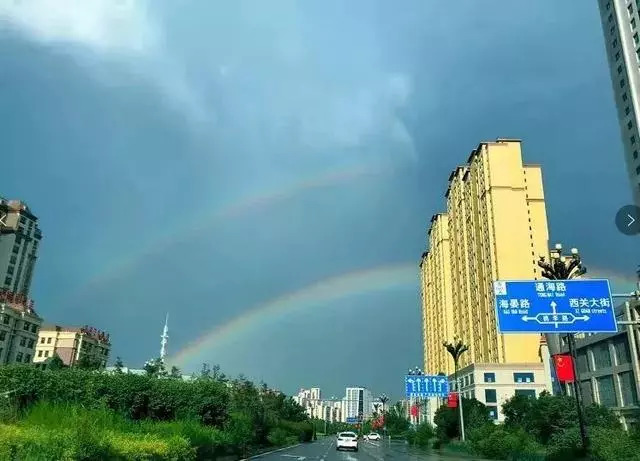 青海十大怪事完整视频,青海十大怪树