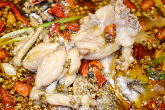 美蛙鱼头的优势,美蛙鱼头前景怎么样