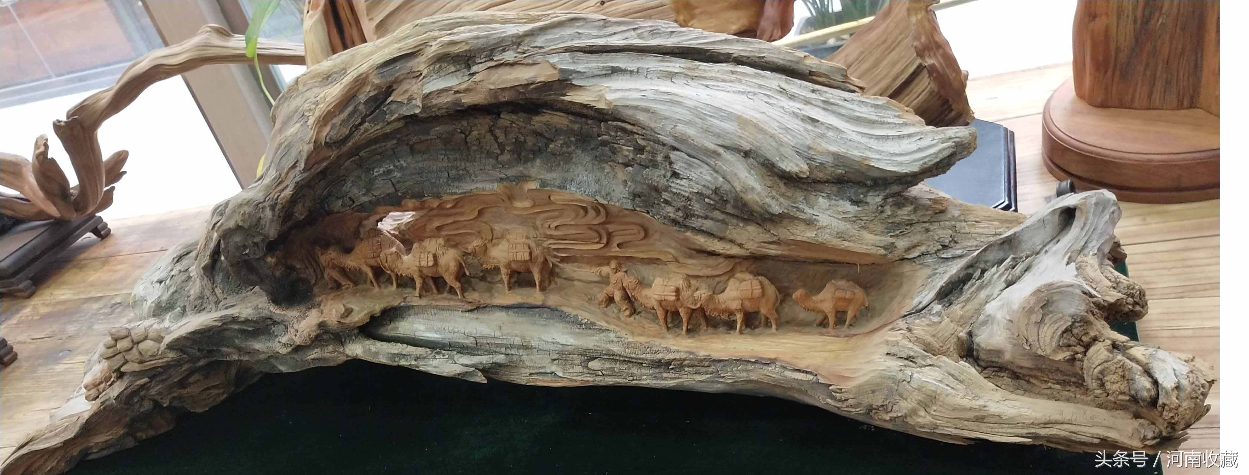 精品崖柏根雕大师级作品,史上最大的乌木根雕横空出世