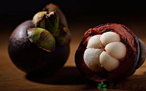 近期刷屏社交圈的山竹好吃吗?有哪些禁忌呢?