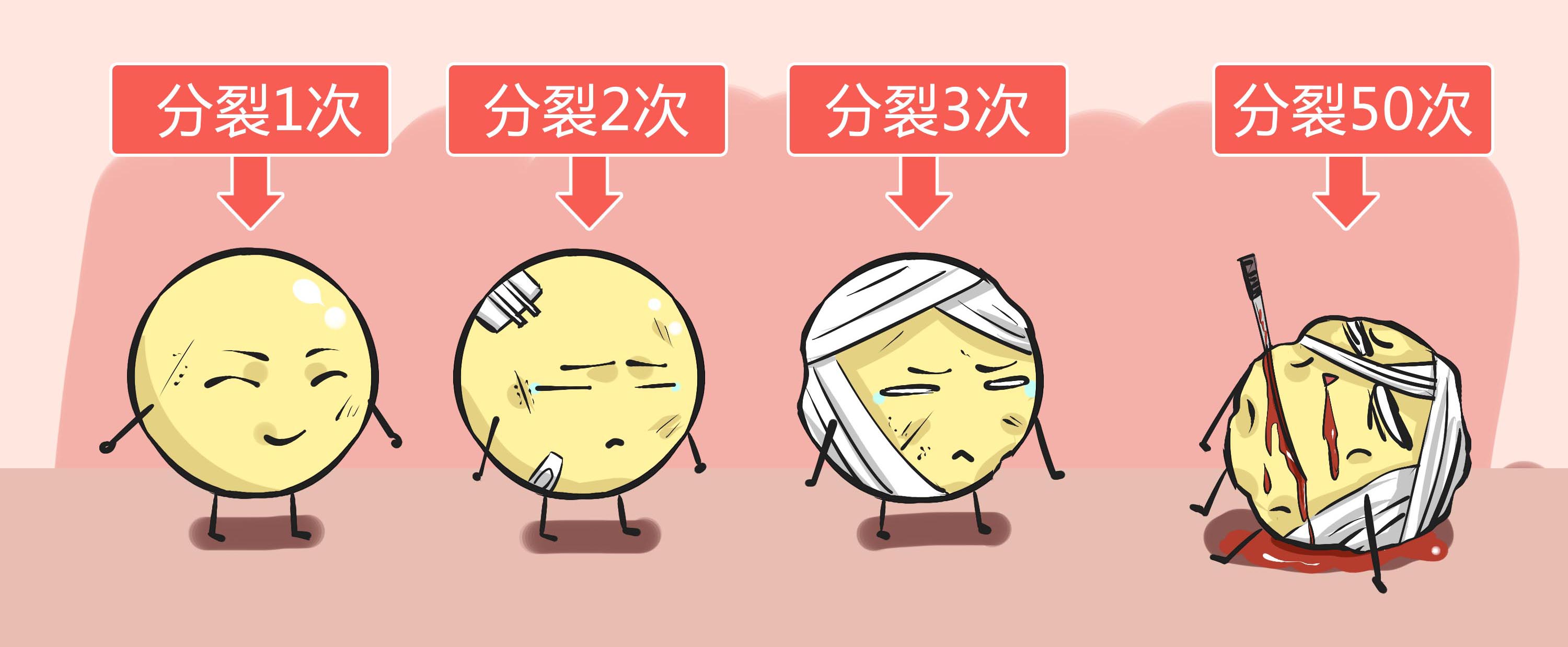 海拉细胞永生人现状,海拉细胞可以使人类永生吗